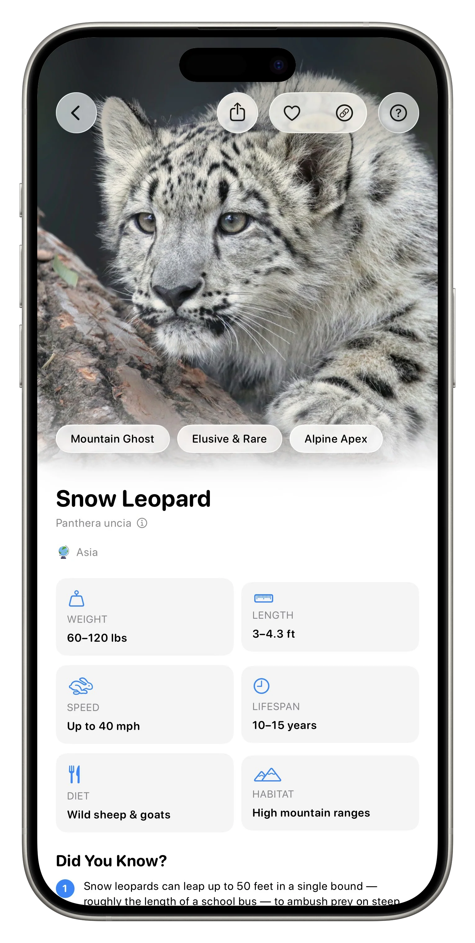 Fauna App Screenshot